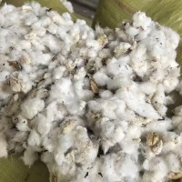 安徽无为产地直发4/5级籽棉