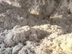 10月8日沙雅籽棉价格行情