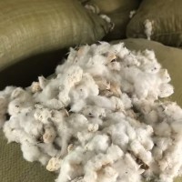 出售无为优质五级棉花