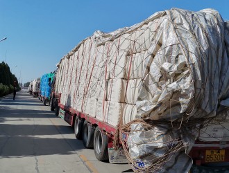 10月31日国内棉花价格行情