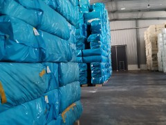 11月1日国内棉籽价格行情