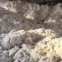 长期采购：采购次棉僵掰棉
