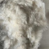 M1-1/8，土耳其锯齿