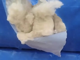 2025年度新体制棉花加工企业公证检验重量537.3573万吨