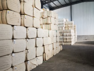 2026年1月31日美棉日报